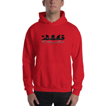 Load image into Gallery viewer, 216 STYLE DESIGN HOODIE
